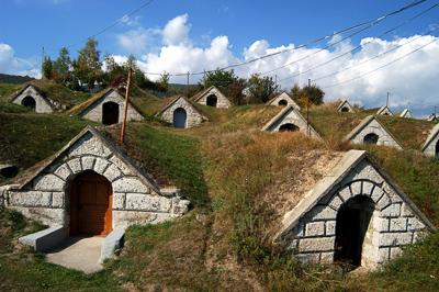 Védett pincesor Hercegkúton-stock-foto