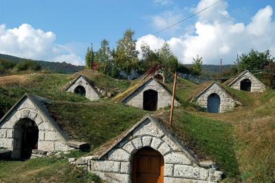 Védett pincesor Hercegkúton-stock-foto