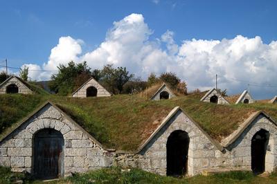 Védett pincesor Hercegkúton-stock-foto