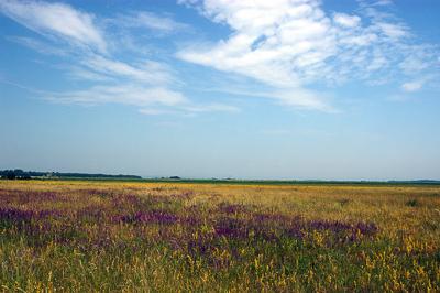 A Fertő-tó Fertőrákos határában-stock-foto