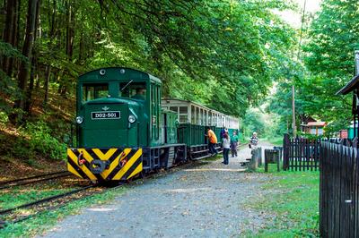 Lillafüredi Állami Erdei Vasút-stock-foto