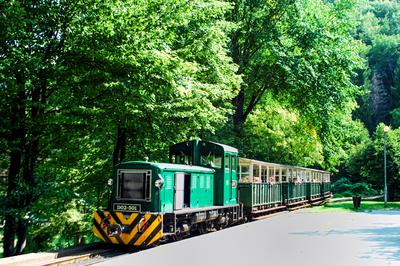 Lillafüredi Állami Erdei Vasút-stock-foto