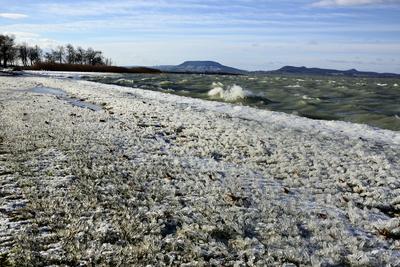 A január elején beköszöntött erõs viharos szélnek és a nagy hidegnek köszönhetõen jégben pompázik a Balaton déli partja.A növényekre és a part meletti tárgyakra ráfagy a Balaton vize és igazi jégszobrokat varázsol a természet.-stock-foto