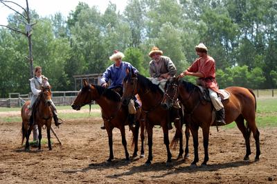 Lovasbemutató Ópusztaszeren a Nemzeti Történeti Emlékparkban-stock-foto