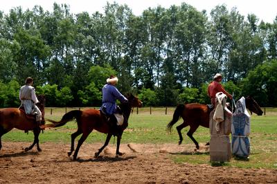 Lovasbemutató Ópusztaszeren a Nemzeti Történeti Emlékparkban-stock-foto
