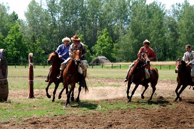 Lovasbemutató Ópusztaszeren-stock-foto