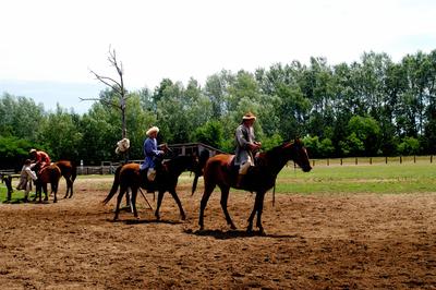Lovasbemutató Ópusztaszeren-stock-foto
