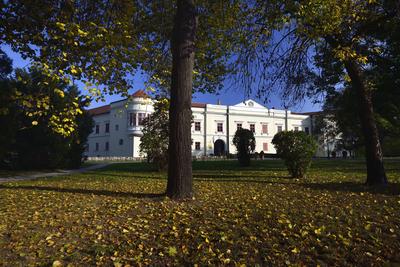 A Rákóczi vár Sárospatakon-stock-foto