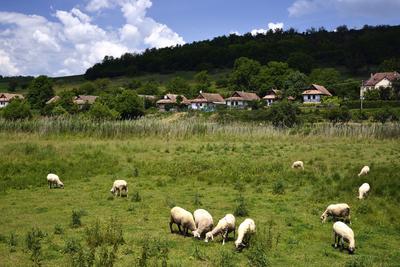 Terény község a Csehátban-stock-foto