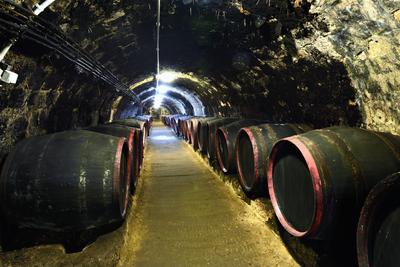 A Rákóczi pince Tokajban-stock-foto