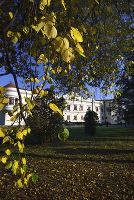 A Rákóczi vár Sárospatakon-stock-foto