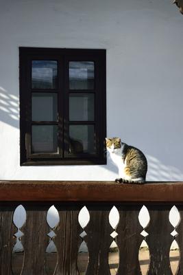 Hollókõ népi építészetérõl és váráról ismert település a Cserhát hegységben, amely a világörökség része télen-stock-foto