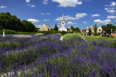 Levendárium Dörgicsén-stock-foto