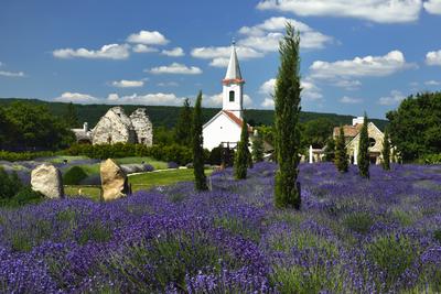 Levendárium Dörgicsén-stock-foto