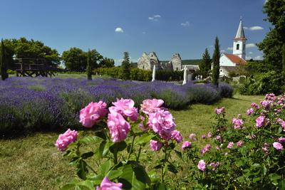 Levendárium Dörgicsén-stock-foto