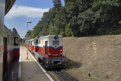 Budapest, Széchenyi-hegyi Gyermekvasút (Úttörõvasút) Hûvösvölgy állomása.-stock-foto