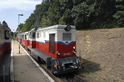 Budapest, Széchenyi-hegyi Gyermekvasút (Úttörõvasút) Hûvösvölgy állomása.-stock-foto