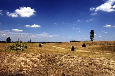 Homokbuckák Fülöpháza határában. A Homokhátság buckavonulatai csak néhány tíz méterrel magasodnak a Duna és Tisza-völgy fölé. A homokterületek az Õs-Duna hordalékkúpjainak maradványa. A szinte érintetlen állapotban levõ homokbuckás-stock-foto