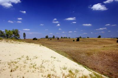 Homokbuckák Fülöpháza határában. A Homokhátság buckavonulatai csak néhány tíz méterrel magasodnak a Duna és Tisza-völgy fölé. A homokterületek az Õs-Duna hordalékkúpjainak maradványa. A szinte érintetlen állapotban levõ homokbuckás-stock-foto