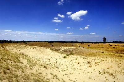 Homokbuckák Fülöpháza határában. A Homokhátság buckavonulatai csak néhány tíz méterrel magasodnak a Duna és Tisza-völgy fölé. A homokterületek az Õs-Duna hordalékkúpjainak maradványa. A szinte érintetlen állapotban levõ homokbuckás-stock-foto