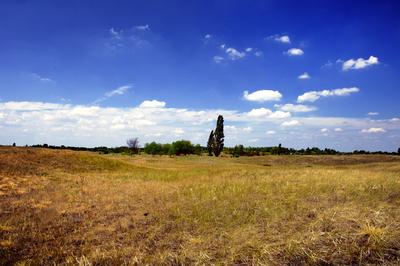 Homokbuckák Fülöpháza határában. A Homokhátság buckavonulatai csak néhány tíz méterrel magasodnak a Duna és Tisza-völgy fölé. A homokterületek az Õs-Duna hordalékkúpjainak maradványa. A szinte érintetlen állapotban levõ homokbuckás-stock-foto