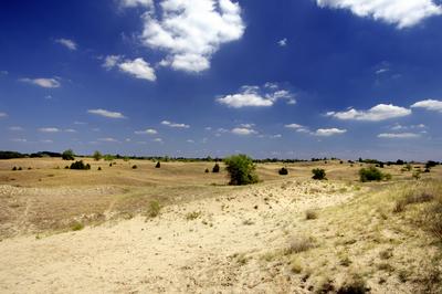 Homokbuckák Fülöpháza határában. A Homokhátság buckavonulatai csak néhány tíz méterrel magasodnak a Duna és Tisza-völgy fölé. A homokterületek az Õs-Duna hordalékkúpjainak maradványa. A szinte érintetlen állapotban levõ homokbuckás-stock-foto