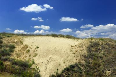 Homokbuckák Fülöpháza határában. A Homokhátság buckavonulatai csak néhány tíz méterrel magasodnak a Duna és Tisza-völgy fölé. A homokterületek az Õs-Duna hordalékkúpjainak maradványa. A szinte érintetlen állapotban levõ homokbuckás-stock-foto