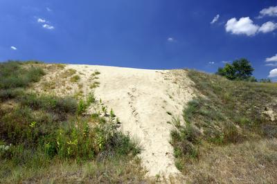 Homokbuckák Fülöpháza határában. A Homokhátság buckavonulatai csak néhány tíz méterrel magasodnak a Duna és Tisza-völgy fölé. A homokterületek az Õs-Duna hordalékkúpjainak maradványa. A szinte érintetlen állapotban levõ homokbuckás-stock-foto