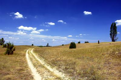Homokbuckák Fülöpháza határában. A Homokhátság buckavonulatai csak néhány tíz méterrel magasodnak a Duna és Tisza-völgy fölé. A homokterületek az Õs-Duna hordalékkúpjainak maradványa. A szinte érintetlen állapotban levõ homokbuckás-stock-foto