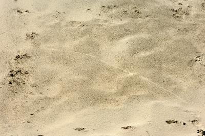 Homokbuckák Fülöpháza határában. A Homokhátság buckavonulatai csak néhány tíz méterrel magasodnak a Duna és Tisza-völgy fölé. A homokterületek az Õs-Duna hordalékkúpjainak maradványa. A szinte érintetlen állapotban levõ homokbuckás-stock-foto