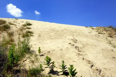 Homokbuckák a Kiskunságban-stock-foto