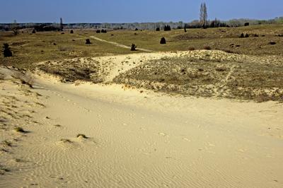 Homokbuckák a Kiskunságban-stock-foto