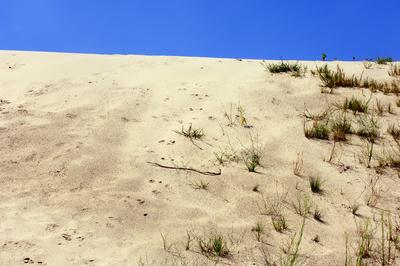 Homokbuckák a Kiskunságban-stock-foto