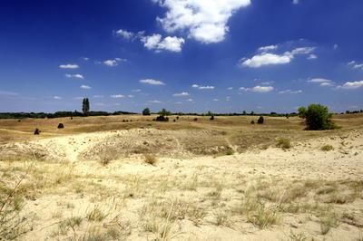 Homokbuckák a Kiskunságban-stock-foto