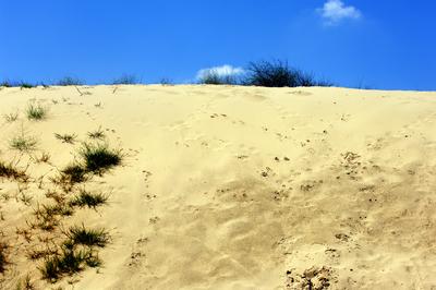 Homokbuckák a Kiskunságban-stock-foto