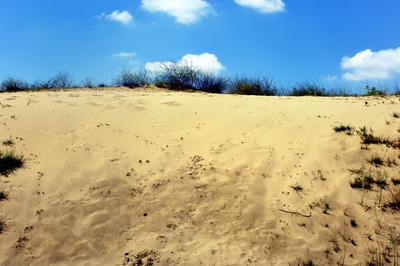 Homokbuckák a Kiskunságban-stock-foto