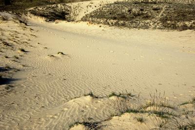 Homokbuckák a Kiskunságban-stock-foto
