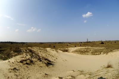 Homokbuckák a Kiskunságban-stock-foto