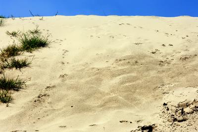 Homokbuckák a Kiskunságban-stock-foto