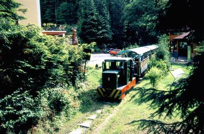 Erdei vasút Pálházán-stock-foto