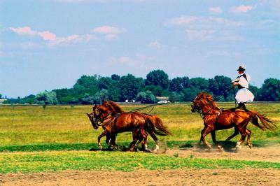 Bugac puszta-stock-foto