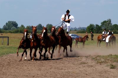 Bugac puszta-stock-foto