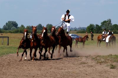 Bugac puszta-stock-photo