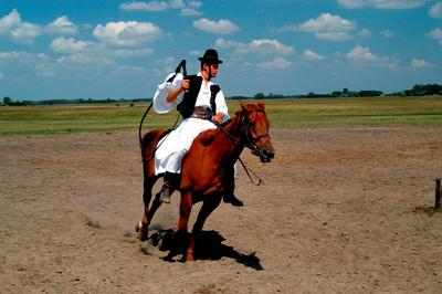 Bugac puszta-stock-foto