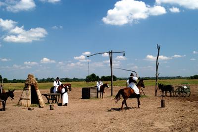 Bugac puszta-stock-photo