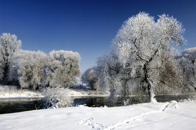 Téli zúzmarával borított táj a Sajó folyónál-stock-photo