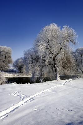 Téli zúzmarával borított táj a Sajó folyónál-stock-photo