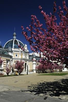 Miskolc - Erzsébet tér-stock-foto