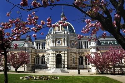 Miskolc - Erzsébet tér-stock-foto