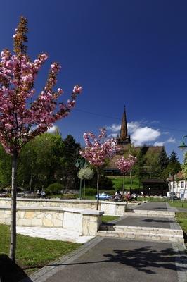 Miskolc - Deszkatemplom.-stock-foto